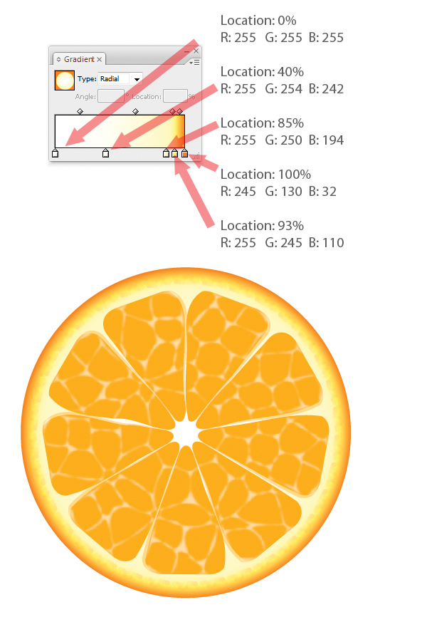 hình ảnh  thực vật trái cây trái cam món ăn Sản xuất Miếng Nước ép  vitamin Thực phẩm Chất dẻo Cam quýt Chào Quả cam quýt có lợi Màu cam  đắng